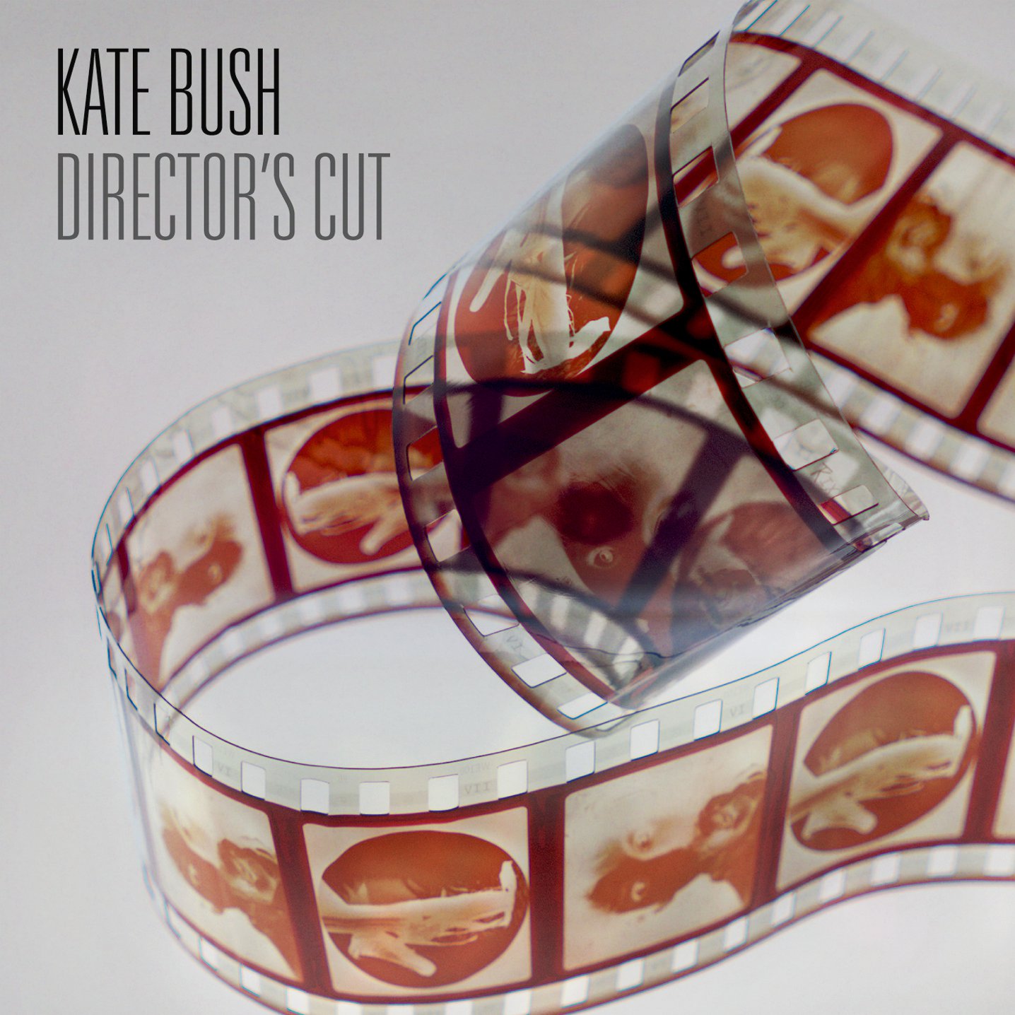 Kate Bush, Director's Cut, Cover