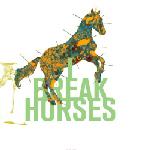 I Break Horses