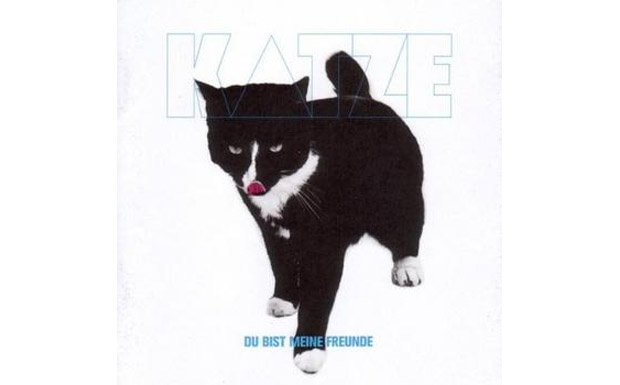 Katze – Franzi, wir wollen dass Du bei uns in der Band mitmachst