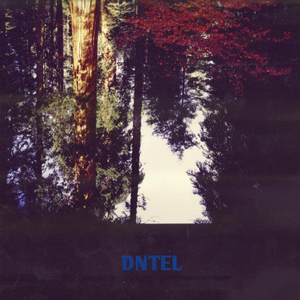 DNTEL