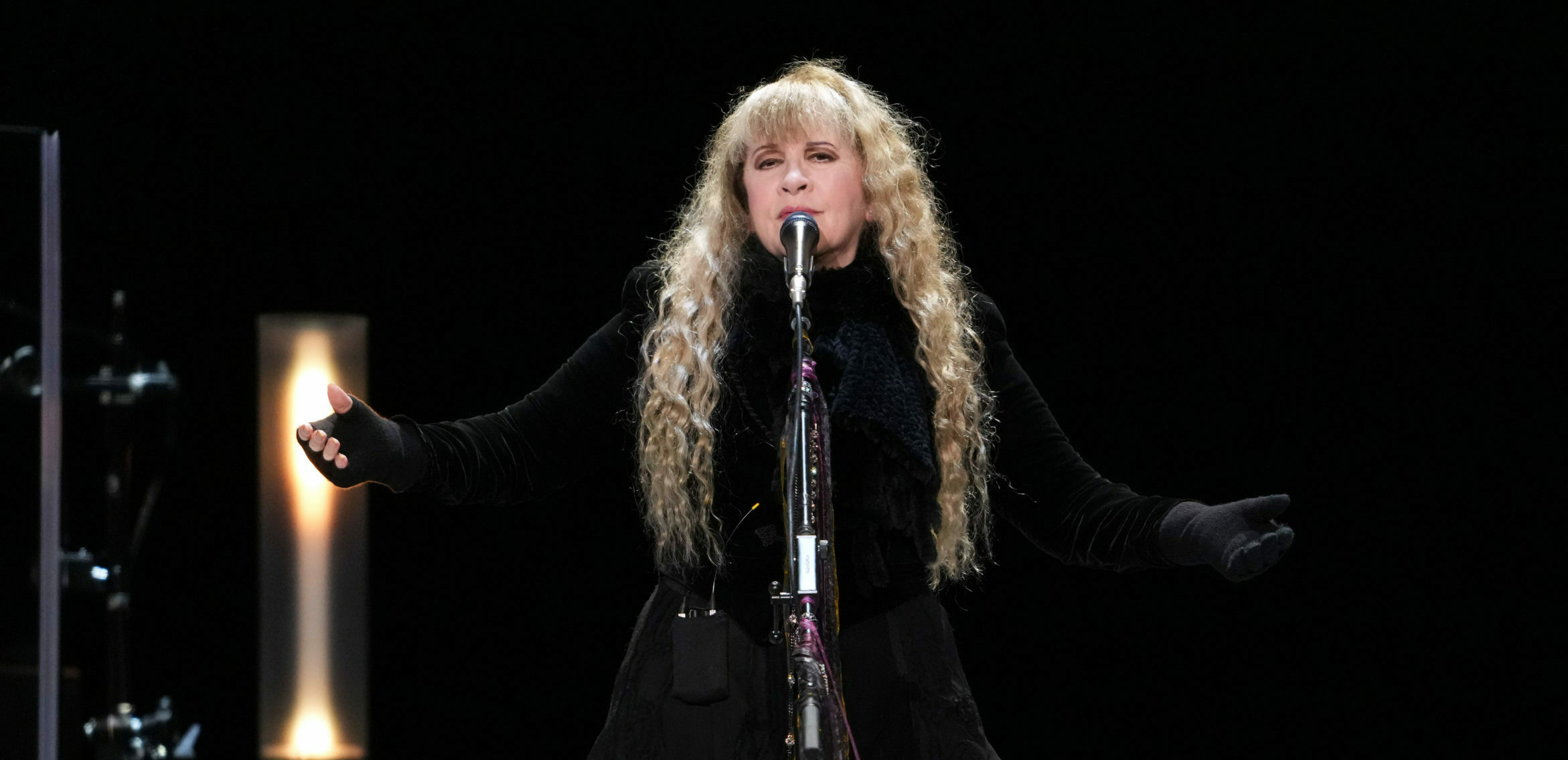 Stevie Nicks live